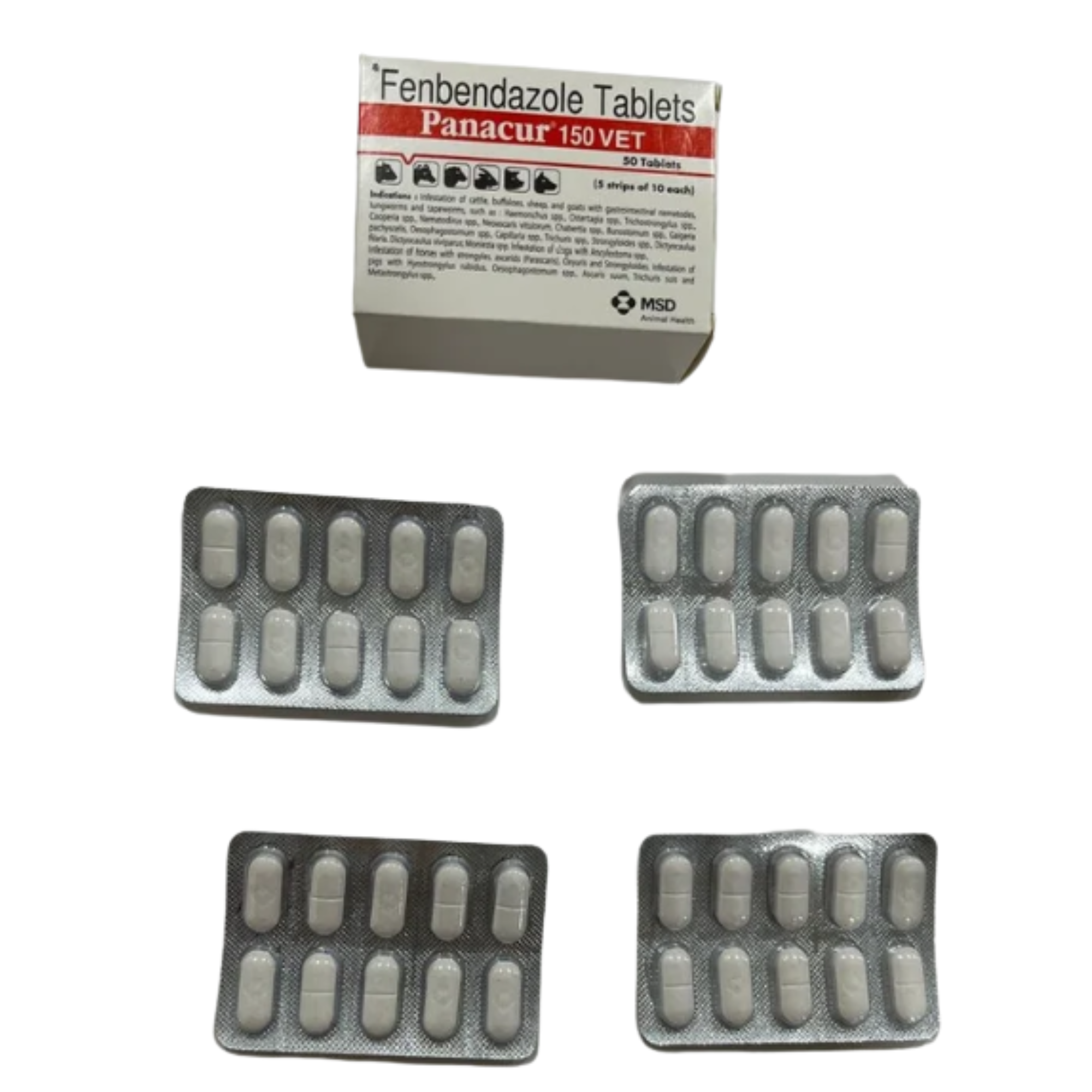 Fenbendazole Tablet panacur